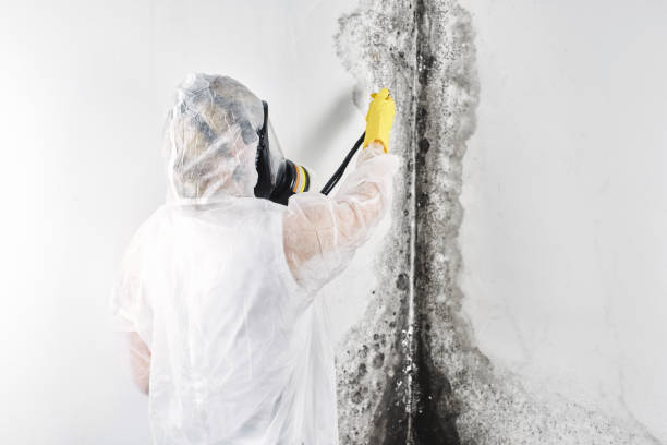 Best Carpet water damage restoration  in Glennville, GA